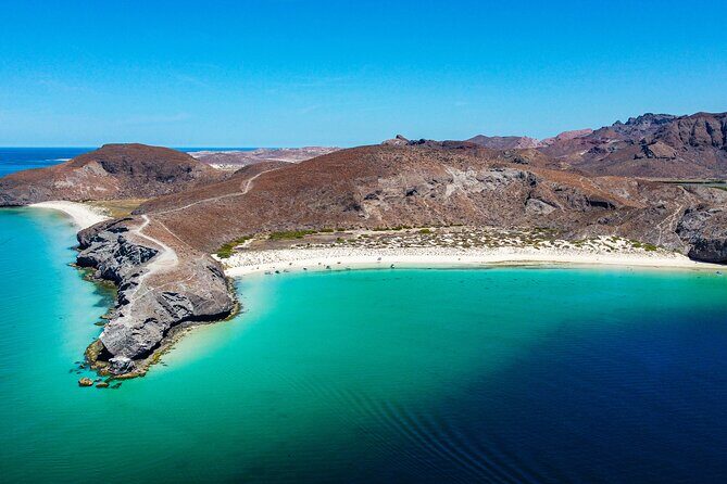 Whale sharks and sea lions snorkeling plus Balandra beach lunch - Key Points