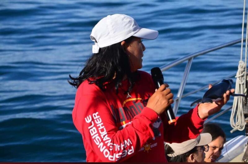 Whale Tour in Puerto Vallarta by Speedboat or Catamaran - Who This Tour Is Best For