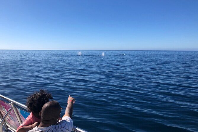 Whale Tour, Sail to Cabo San Lucas Arc + Food - FAQ