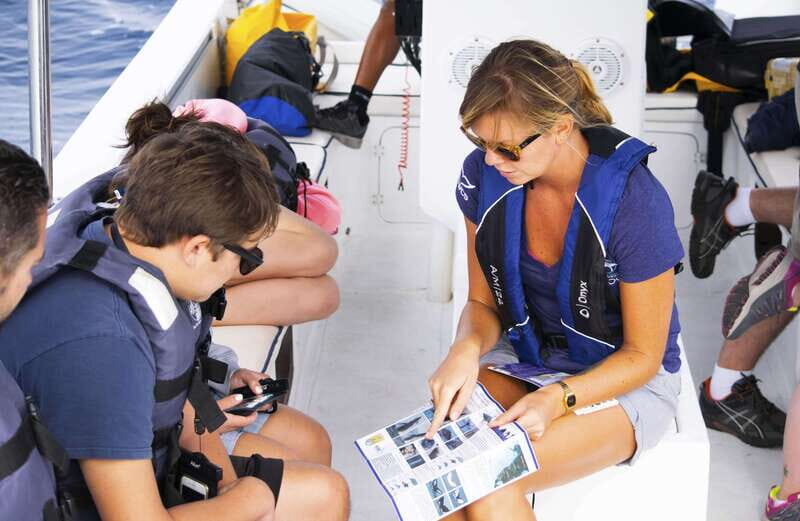 Whale Watch Cabo: Zodiac Whale Adventure - FREE Photos - The Experience: A Closer Look at the Zodiac Whale Adventure