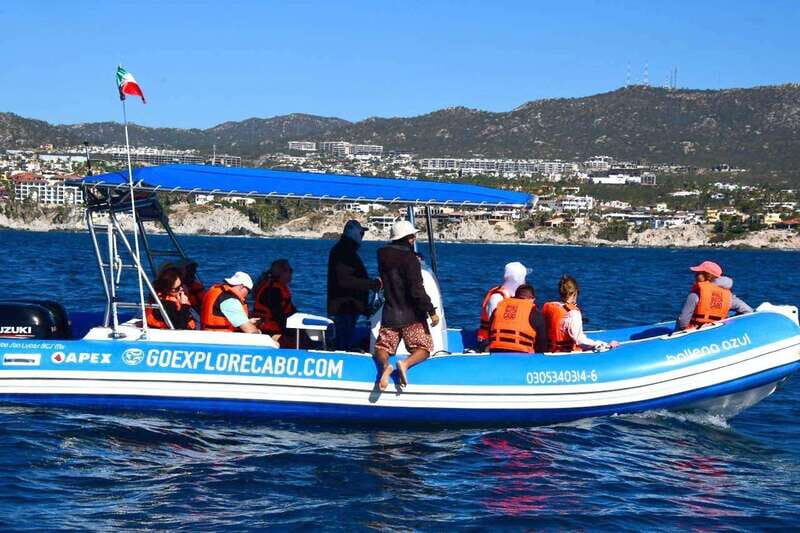 Whale Watch Cabo: Zodiac Whale Adventure - FREE Photos - FAQ