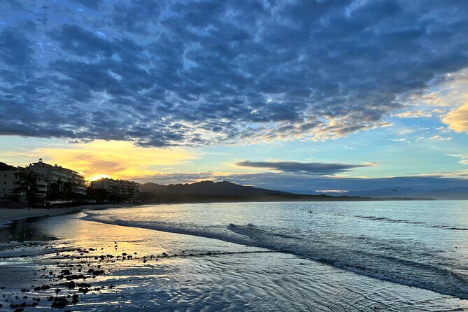 Whale watching - Key Points