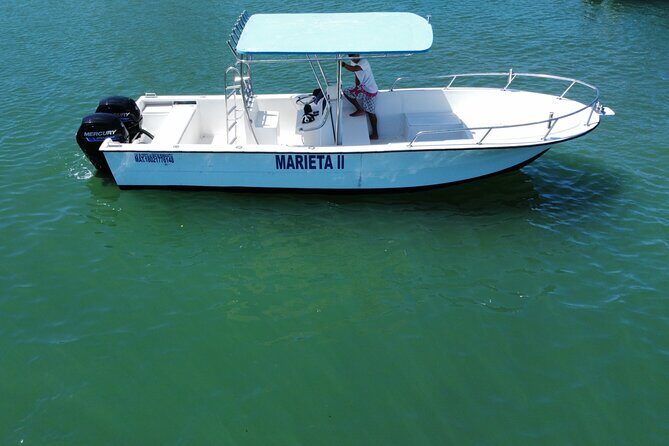 Whale watching - Setting the Scene: What to Expect from the Tour