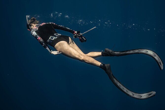 Whale watching 6 people half day - FAQ