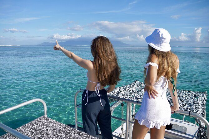 Whale Watching Activity - A Deep Dive into the Whale Watching Experience in Tahiti