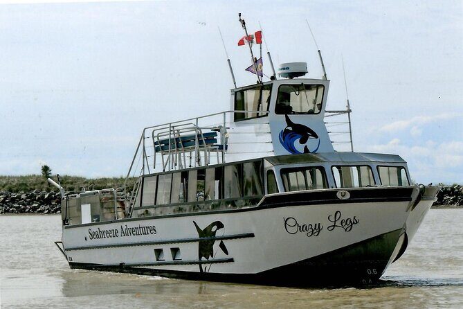 Whale Watching Adventure from Vancouver BC - Why This Tour Stands Out