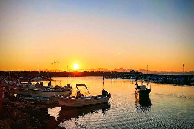 Whale Watching Adventure in Loretos Sea of Cortez - Summary