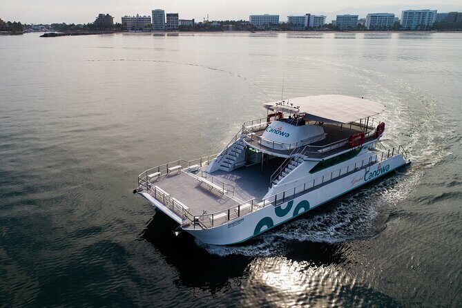 Whale Watching Adventure In Puerto Vallarta - Authentic Encounters & Reviews