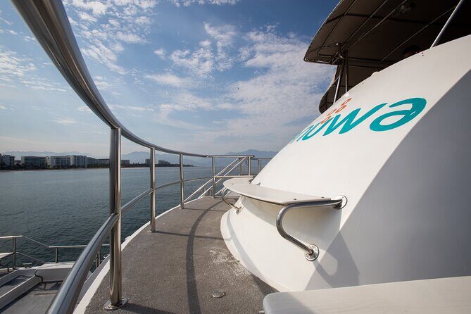Whale Watching Adventure In Puerto Vallarta - The Sum Up