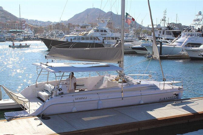 Whale Watching Adventure With Pick up From Los Cabos Hotels - Traveler Feedback and Reviews