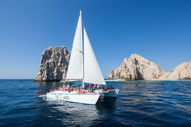 Whale Watching Amazing Adventure - Who Should Book This Tour?