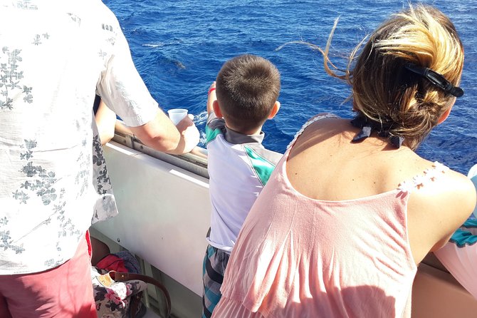 Whale Watching and Dolphin Spotting Cruise - What to Expect on Board