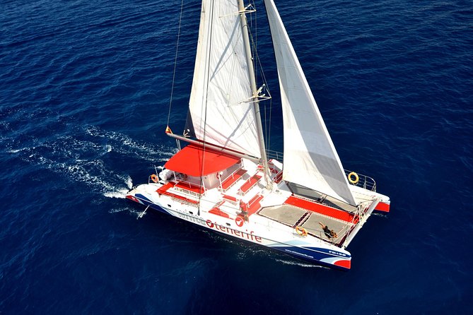 Whale Watching and Listening Eco Catamaran Tour With Food Tasting - Culinary Offerings