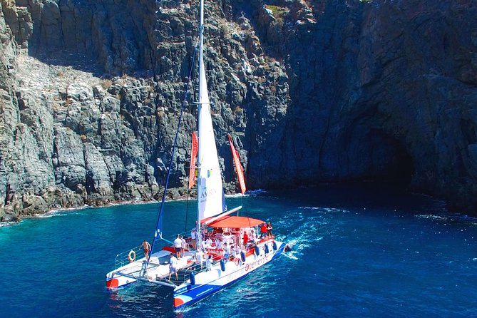 Whale Watching and Listening Eco Catamaran Tour With Food Tasting - Whale and Dolphin Sighting