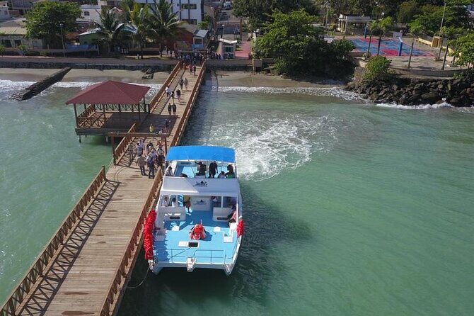 Whale watching and Montana Redonda - Detailed Itinerary Breakdown