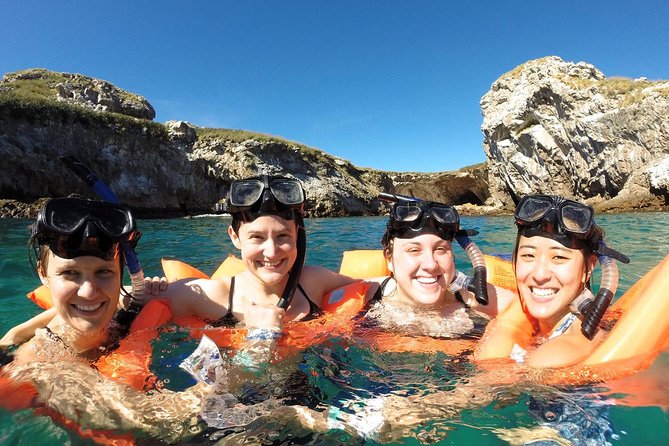 Whale Watching and Snorkeling in Marietas Islands National Park - Whale and Marine Life Information