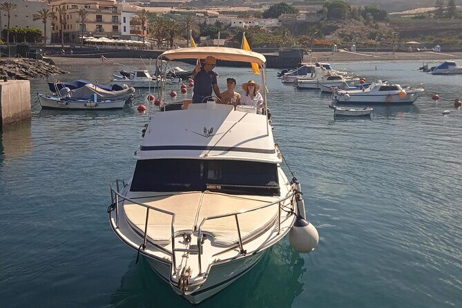 Whale watching and snorkelling in the whale sanctuary - Authentic Experiences Drawn from Reviews