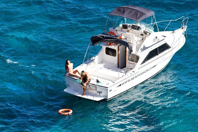 Whale watching and snorkelling in the whale sanctuary - Who Should Consider This Tour?