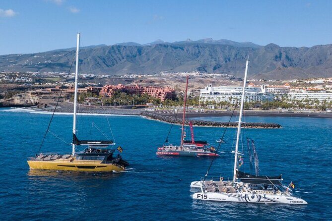 Whale Watching Catamaran to Los Gigantes & Masca (Including drinks & warm lunch) - FAQs