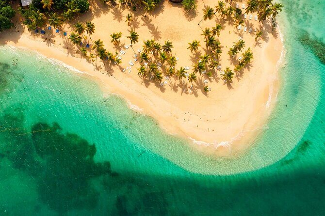 Whale watching + cay raised from Punta Cana - Authentic Experiences & Traveler Feedback