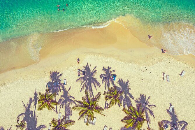 Whale Watching, Cayo Levantado and Limón Waterfall in Samaná - Who Is This Tour Best For?