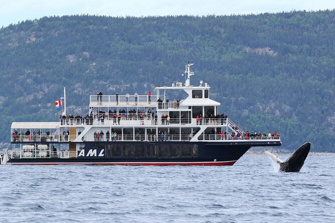 Whale Watching Cruise From Tadoussac or Baie-Ste-Catherine - Good To Know