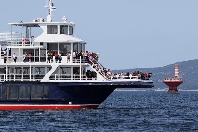Whale Watching Cruise From Tadoussac or Baie-Ste-Catherine - Customer Feedback: Pros and Cons