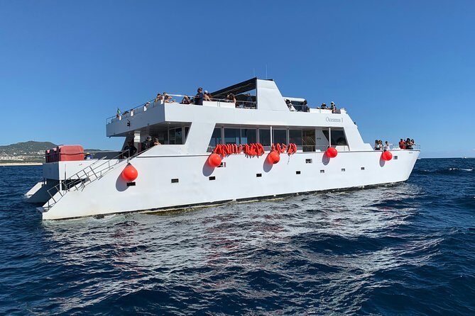 Whale Watching Cruise in Cabos San Lucas and Ground Transportation - Frequently Asked Questions