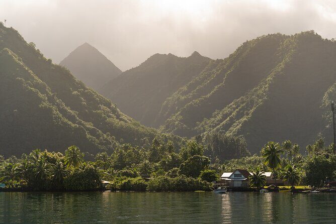Whale watching DE Tahiti Peninsula - The Sum Up: Is It Worth It?