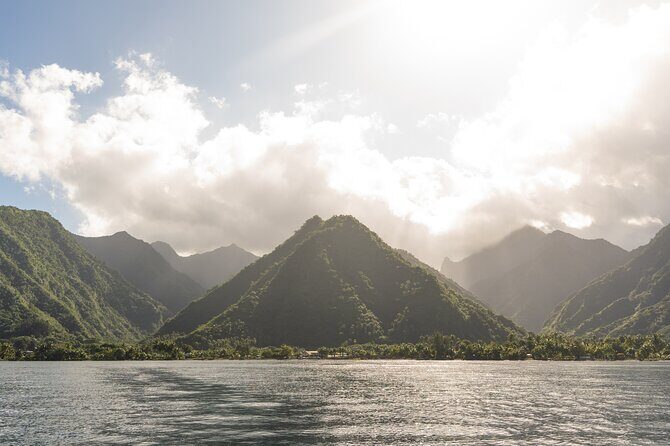 Whale watching DE Tahiti Peninsula - FAQs