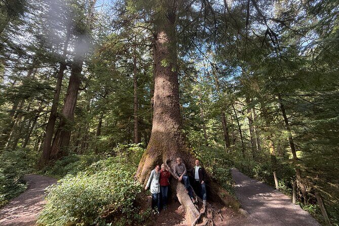 Whale Watching Depoe Bay Cannon Beach And Tillamook - Authentic Traveler Perspectives