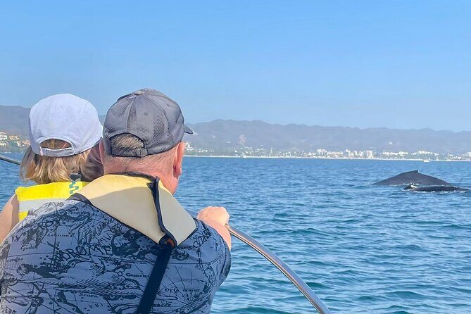 Whale Watching Experience in Puerto Vallarta - Authentic Feedback from Travelers