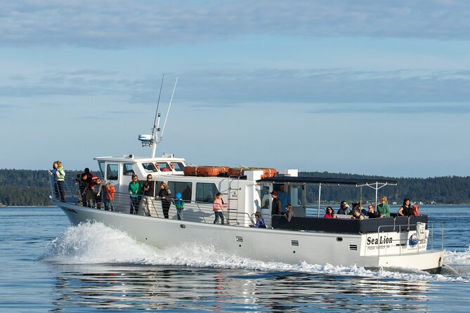 Whale Watching From Friday Harbor - Whale Species You Might Encounter