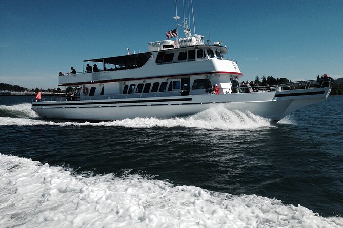 Whale Watching From Friday Harbor - Safety Measures on the Boat