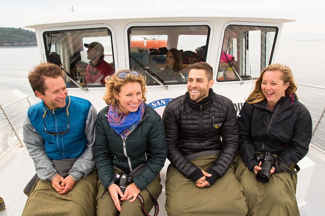 Whale Watching From Friday Harbor - Enhancing Your Whale Watching Experience