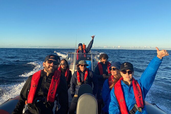 Whale Watching Gold Coast - Frequently Asked Questions