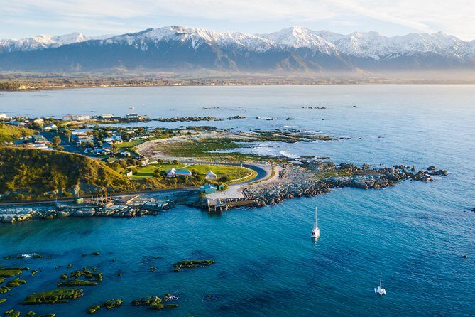 Whale Watching in Kaikoura by Boat - The Sum Up