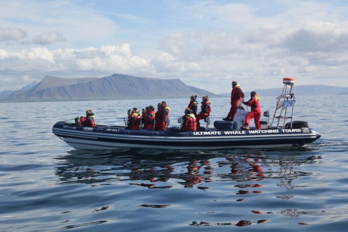 Whale Watching in Reykjavik by Speedboat - Local Attractions to Explore