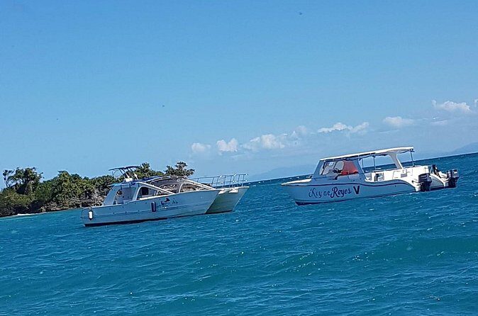 Whale Watching in Samana - Who Should Consider This Tour?