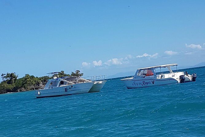 Whale Watching in Samana - Final Thoughts