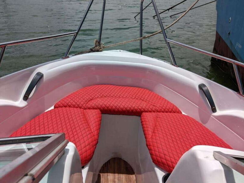 Whale Watching in Speed Boat in Mirissa - Key Points
