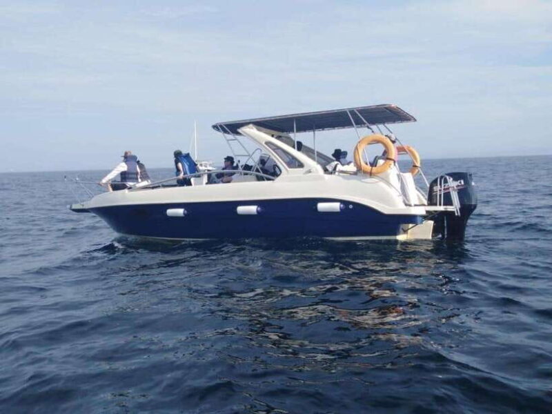 Whale Watching in Speed Boat in Mirissa - Why This Tour Could Be a Great Choice