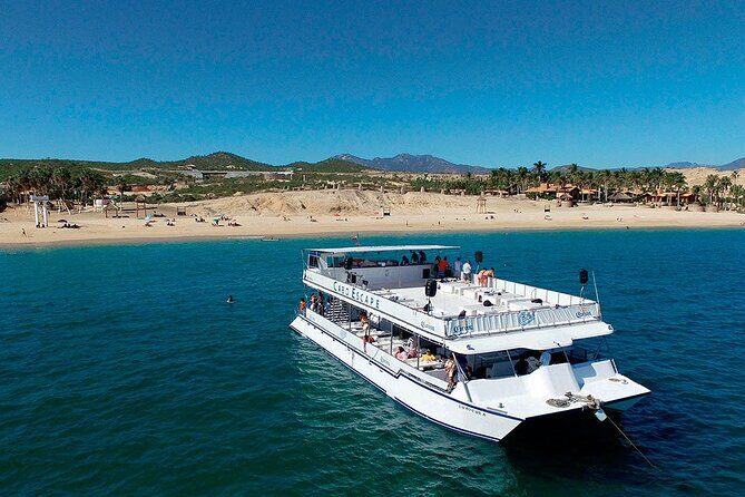 Whale Watching on 2 Level Big Boat with Breakfast and Drinks INCLUDED - The Itinerary in Detail