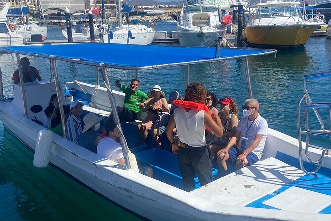 Whale Watching on a Glass Bottom Boat - Who Will Love This Tour?