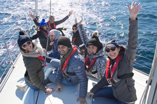 Whale Watching Sailing Experience in Sydney - Who Should Consider This Tour?