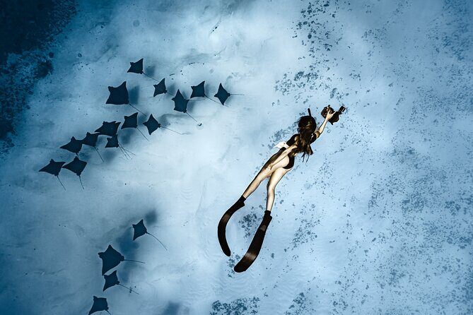 Whale Watching Shared Half Day - Who Should Consider This Tour?