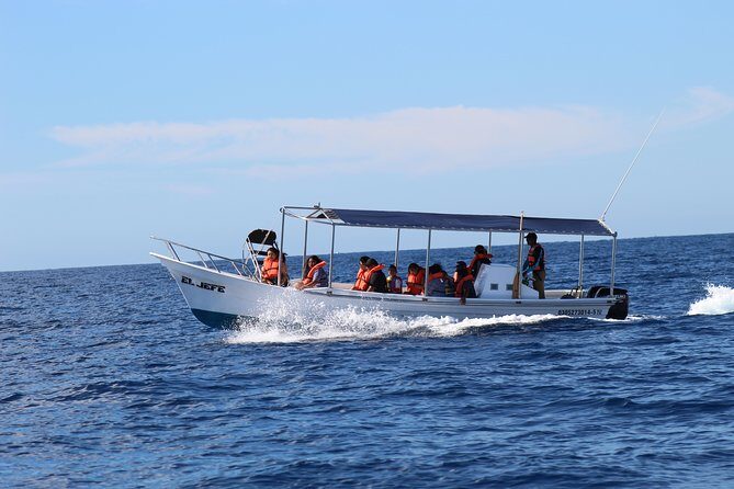 Whale Watching Shared Tour - FAQ