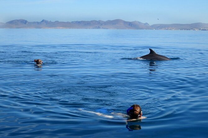 Whale Watching Snorkel Combo - Best Time for Whale Watching