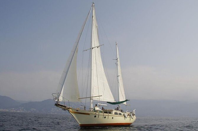 Whale Watching The Best Of Puerto Vallarta - FAQ: Your Questions Answered