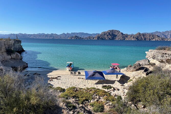 Whale Watching Tour - The Lunch Experience